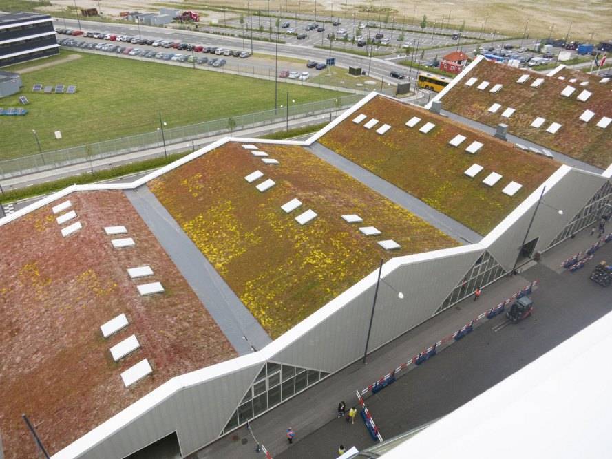 Green roofs - Port of Malmö
