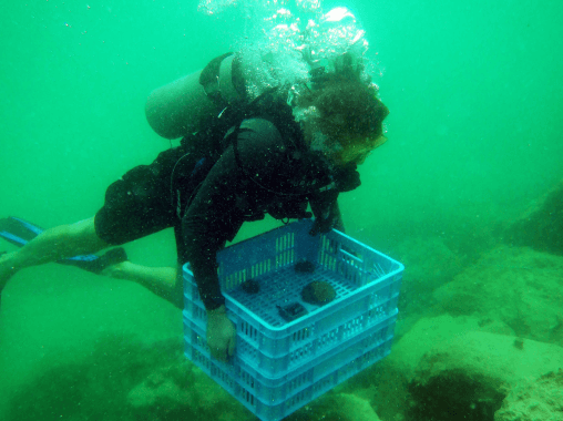 Protecting habitats and enhancing biodiversity - Port of Abu Dhabi