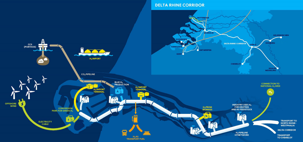 Building a Healthy Hydrogen Economy - Port of Rotterdam